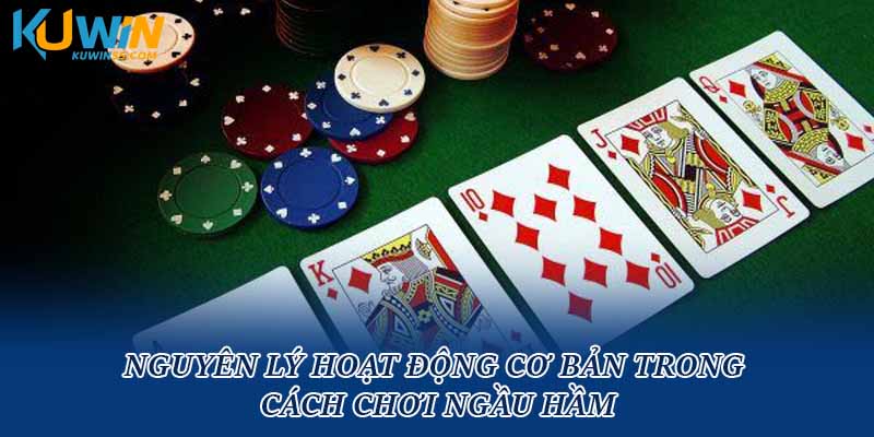 Nguyên lý hoạt động cơ bản trong cách chơi ngầu hầm